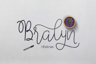 Bralyn: A Designer's Real-World Review of This Script Amp Typeface