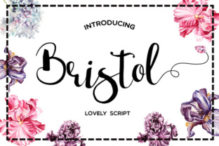 Bristol Typeface Review: Elevating Brand Identity with Elegant Script Typography