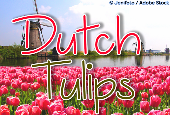 Dutch Tulips: A Beautiful Typeface for Handmade Creations