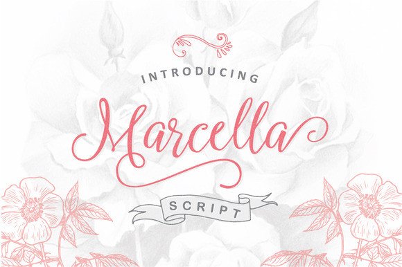 Marcella: A Designer's Honest Review for Real-World Projects