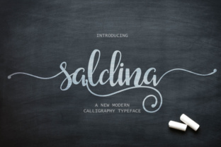Saldina Typeface Review for Modern Web Design